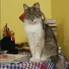Отзыв от Ирина Болдырева